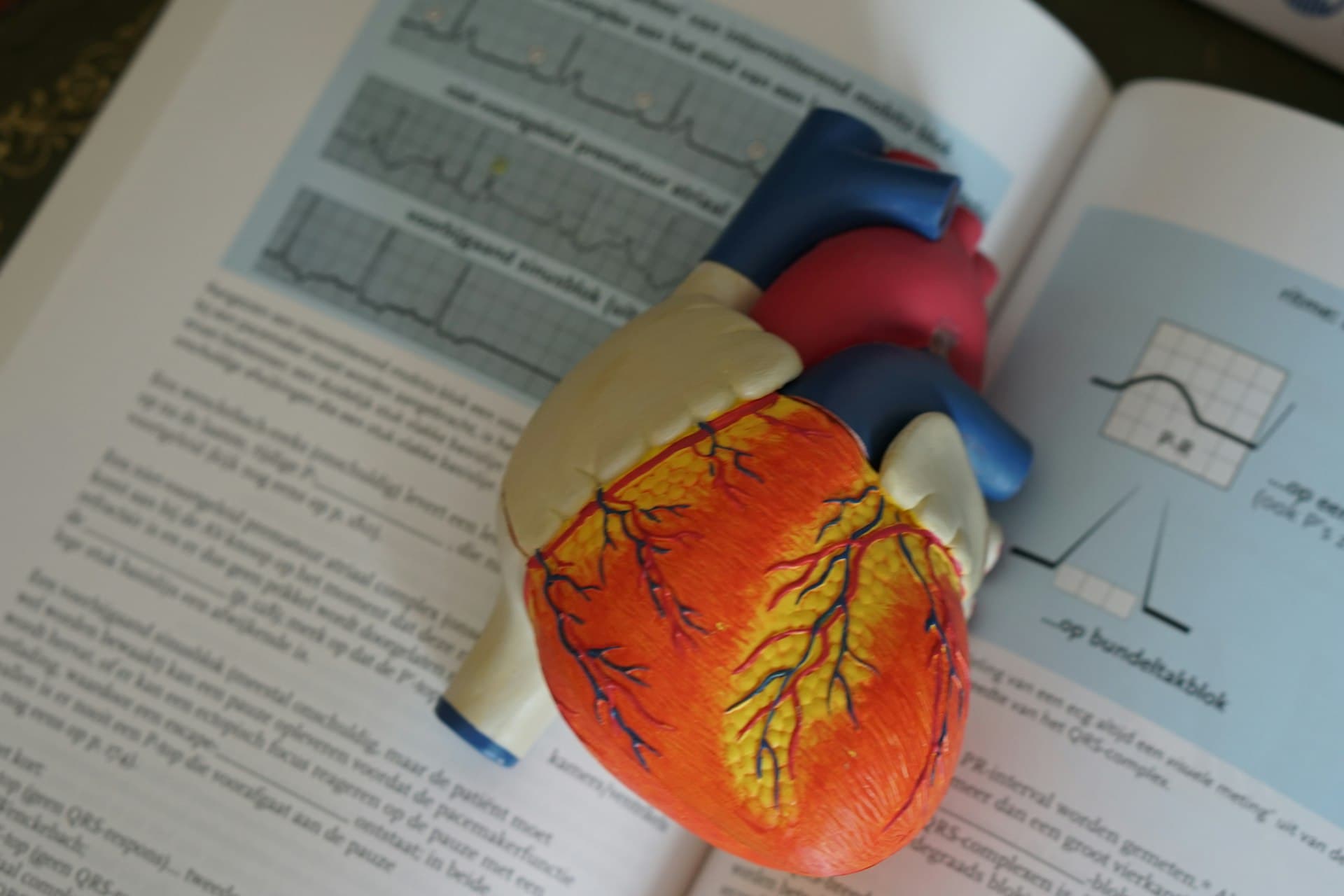 Arterielle Hypertonie — medizin.studio