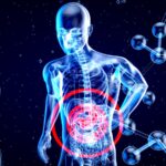 a 3d image of a human with a red circle in his stomach