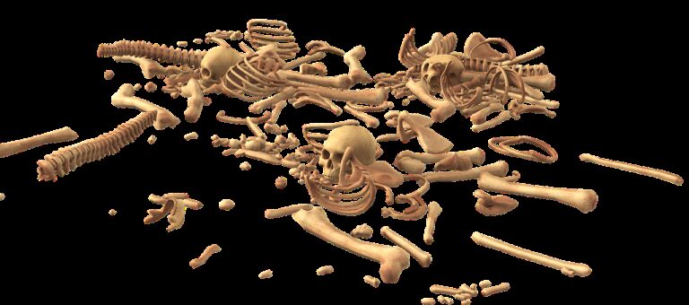 skull, bone, skeleton