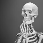 greyscale photography of skeleton