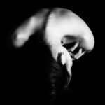 greyscale photography of naked woman