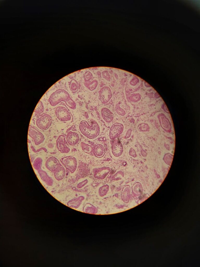 Close-up image of biological cells under a microscope, showcasing intricate patterns.