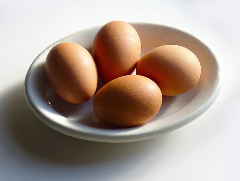 egg, chicken, food, white, healthy, table, cooking, meal, product, cuisine, pepper, side, yolk, lunch, protein, yellow, nutrition, fried, hot, cook, eat, pan, kitchen, omelet, diet, breakfast, fryer, frying, cholesterol, salmonella, warm, board, salt, dinner, crispy, delicious, cooked, snack, tasty, traditional, fresh, gastronomy, gourmet, appetizer, egg, protein, pan, omelet, cholesterol, cholesterol, cholesterol, salmonella, salmonella, salmonella, salmonella, salmonella