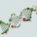 Artistic representation of a DNA helix intertwined with flowers and green leaves.