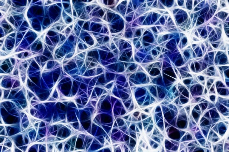 annoy, network, nervous system, management, connections, nerve plexus, brain, stimulus transmission control center, steering, neurons, synapse, signal, pulse, excitement, braid, nerve cord, anatomy, nervous system, nervous system, nervous system, nervous system, brain, brain, brain, brain, brain, neurons, neurons, neurons, synapse