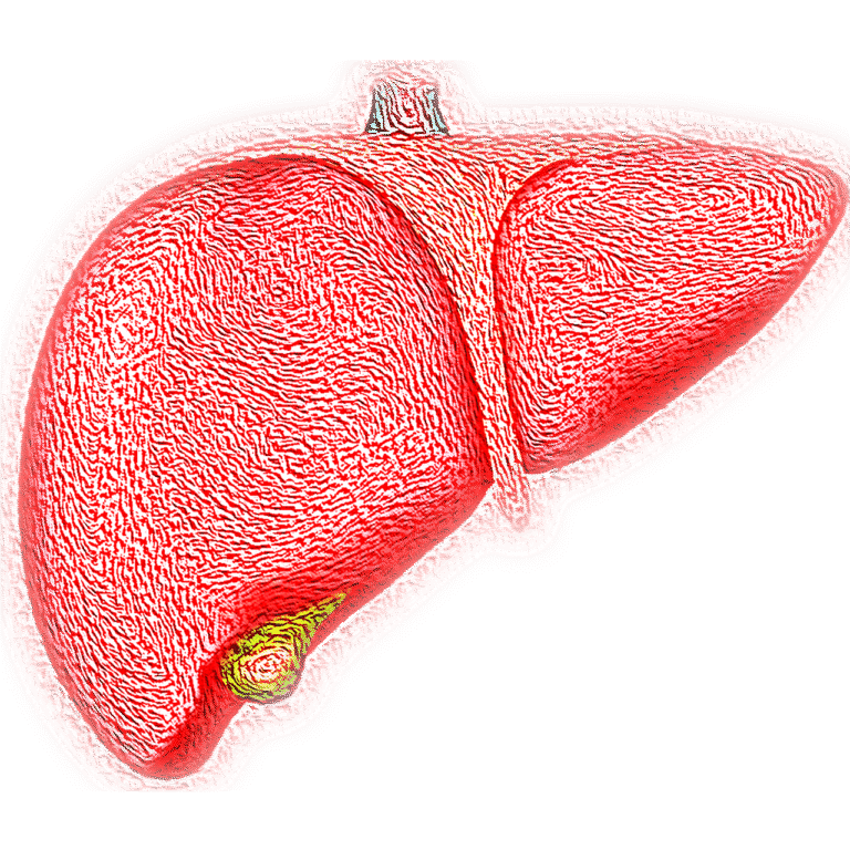 liver, hepatic, organ, jaundice, bile, fatty liver, liver, liver, liver, liver, liver