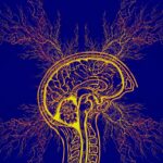 tourette syndrome, epilepsy, adhd, obsessive compulsive disorder, disease, flashes, brain, thunderstorm, headache, neurological, error, annoy, symptoms, attention deficit hyperactivity, parkison, epilepsy, epilepsy, adhd, adhd, adhd, adhd, adhd