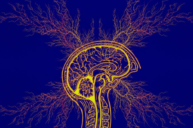 tourette syndrome, epilepsy, adhd, obsessive compulsive disorder, disease, flashes, brain, thunderstorm, headache, neurological, error, annoy, symptoms, attention deficit hyperactivity, parkison, epilepsy, epilepsy, adhd, adhd, adhd, adhd, adhd