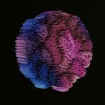 a pink and purple jellyfish