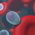 a group of red and blue blood cells