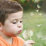 A young boy blowing dandelion seeds in a sunny park, capturing innocence.