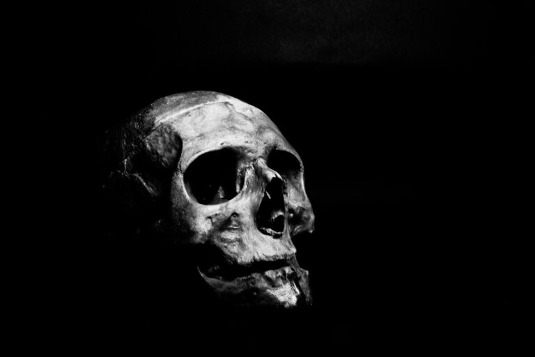 Persönlichkeits- und Verhaltensstörungen aufgrund von Erkrankungen, Verletzungen oder Funktionsstörungen des Gehirns Moody black and white photo of a skull on a dark background.